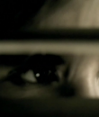 Filename=0059.png
Filesize=262KiB
Dimensions=720x544
Date added=Sep 07, 2013 0059.png