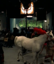 Filename=00418.png
Filesize=374KiB
Dimensions=640x480
Date added=Nov 02, 2013 00418.png