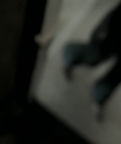 Filename=01030.png
Filesize=139KiB
Dimensions=640x480
Date added=Nov 04, 2013 01030.png