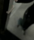 Filename=01036.png
Filesize=160KiB
Dimensions=640x480
Date added=Nov 04, 2013 01036.png