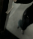 Filename=01037.png
Filesize=156KiB
Dimensions=640x480
Date added=Nov 04, 2013 01037.png
