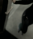Filename=01038.png
Filesize=161KiB
Dimensions=640x480
Date added=Nov 04, 2013 01038.png