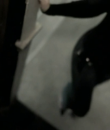Filename=01039.png
Filesize=164KiB
Dimensions=640x480
Date added=Nov 04, 2013 01039.png