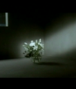 Filename=00745.png
Filesize=189KiB
Dimensions=640x480
Date added=Dec 11, 2013 00745.png