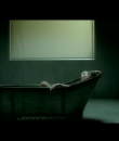Filename=00768.png
Filesize=170KiB
Dimensions=640x480
Date added=Dec 11, 2013 00768.png