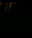 0178.png