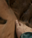 Filename=0073.png
Filesize=441KiB
Dimensions=1280x720
Date added=Oct 14, 2013 0073.png