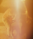 Filename=0244.png
Filesize=381KiB
Dimensions=1280x720
Date added=Oct 14, 2013 0244.png